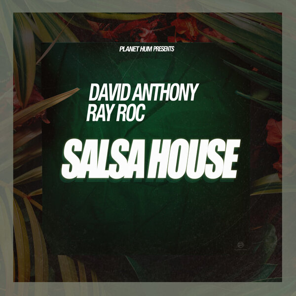 Salsa House cover